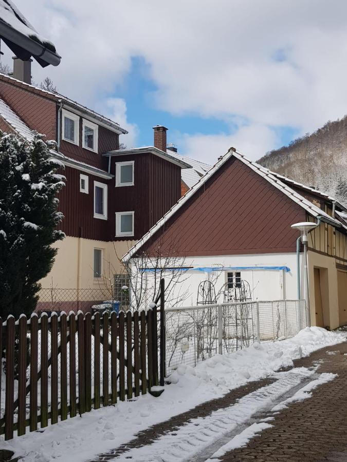 Ferienhaus Am Fluss Mit Traumhafter Dachterrasse ,Garten Und Grill Walkenried Exterior foto